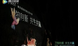 雾中人形生物爆料视频,揭秘神秘人形生物神秘面纱